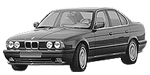 BMW E34 B209C Fault Code